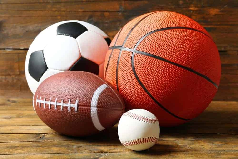 Sports In Brief: Almont boys cross-country 4th; Cardinal girls compete at Bad Axe Invite – Tri-City Times