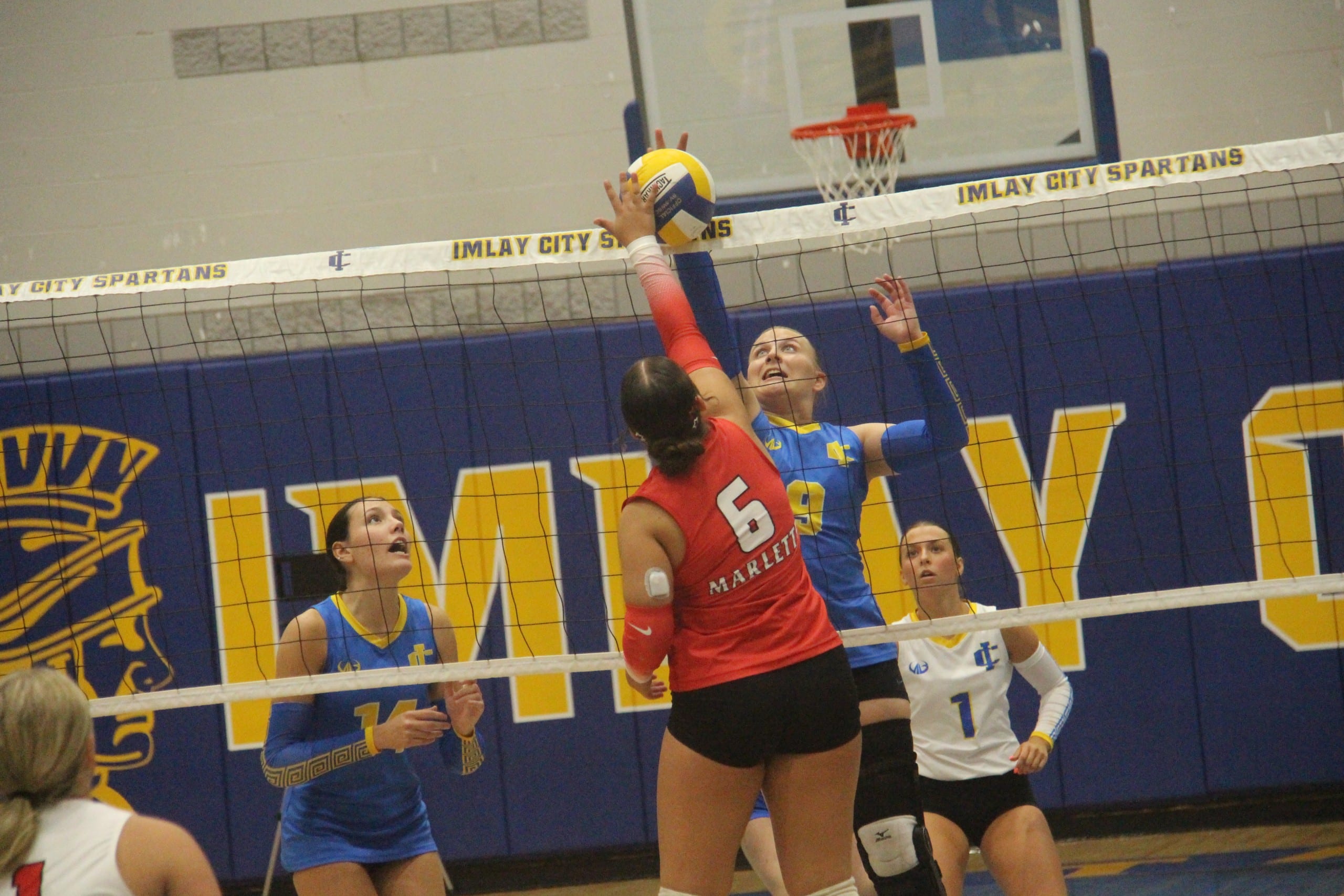Volleyball round-up: Imlay City goes 3-1 – Tri-City Times