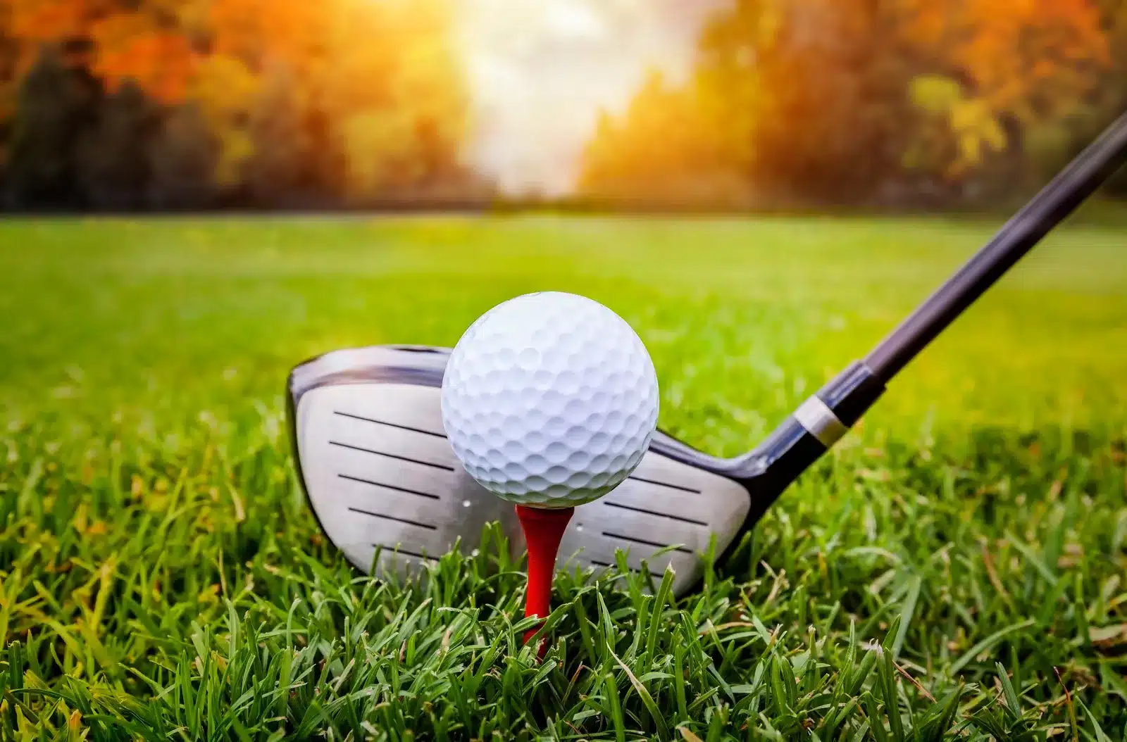 Imlay City place seventh in golf regional – Tri-City Times